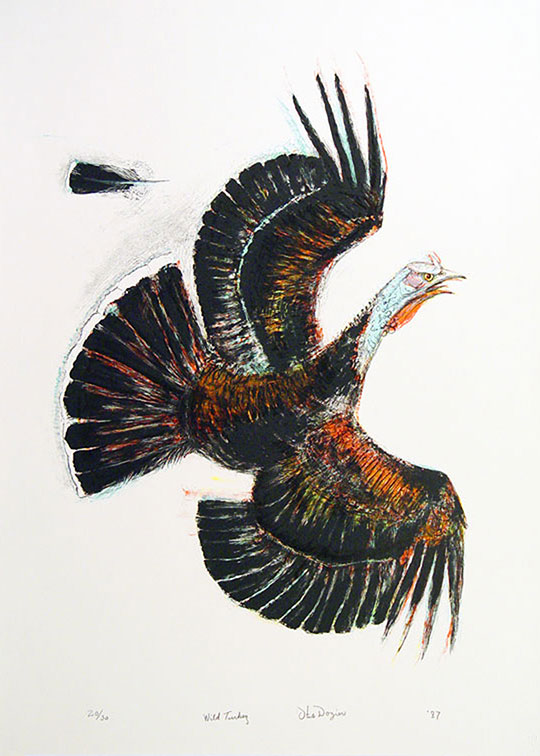 Image described below