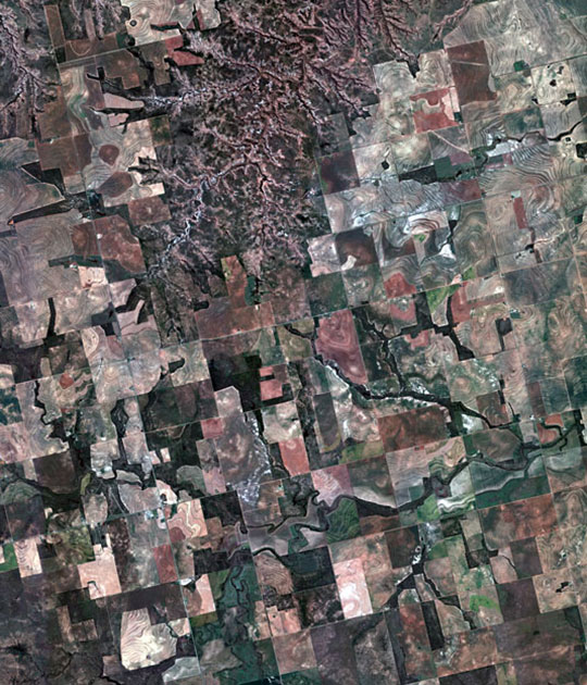 Image described below