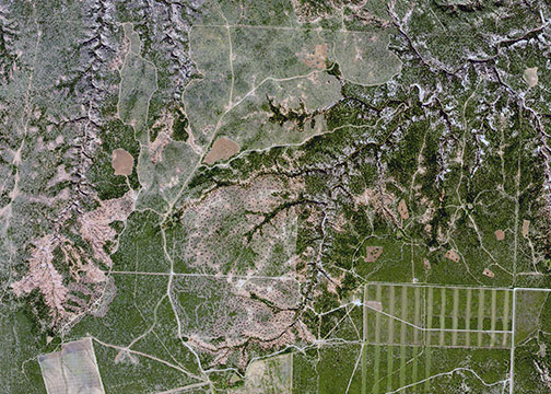 Image described below