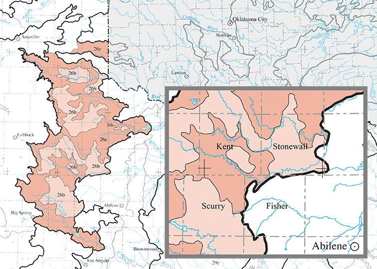 Image described below