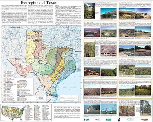 Image described below