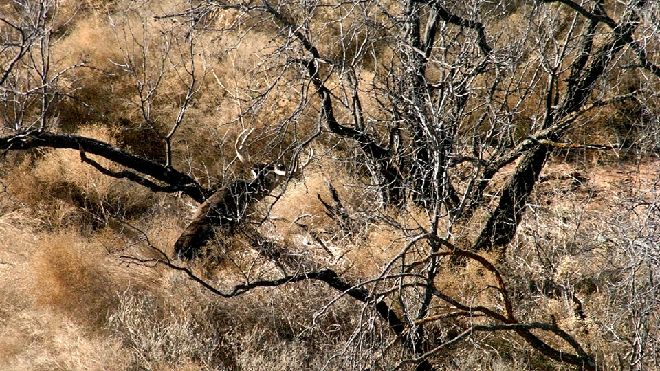 Image described below