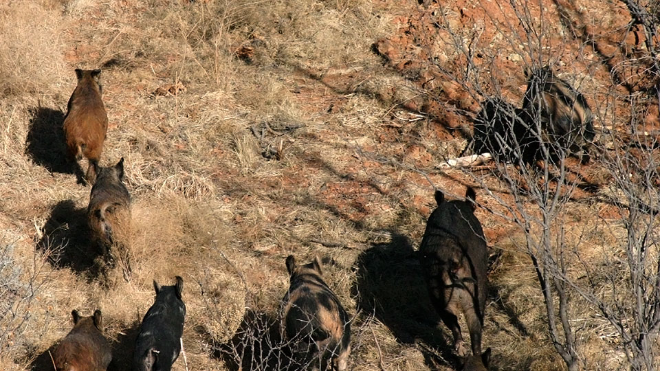 Image described below