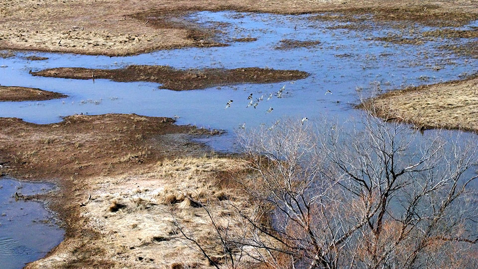 Image described below