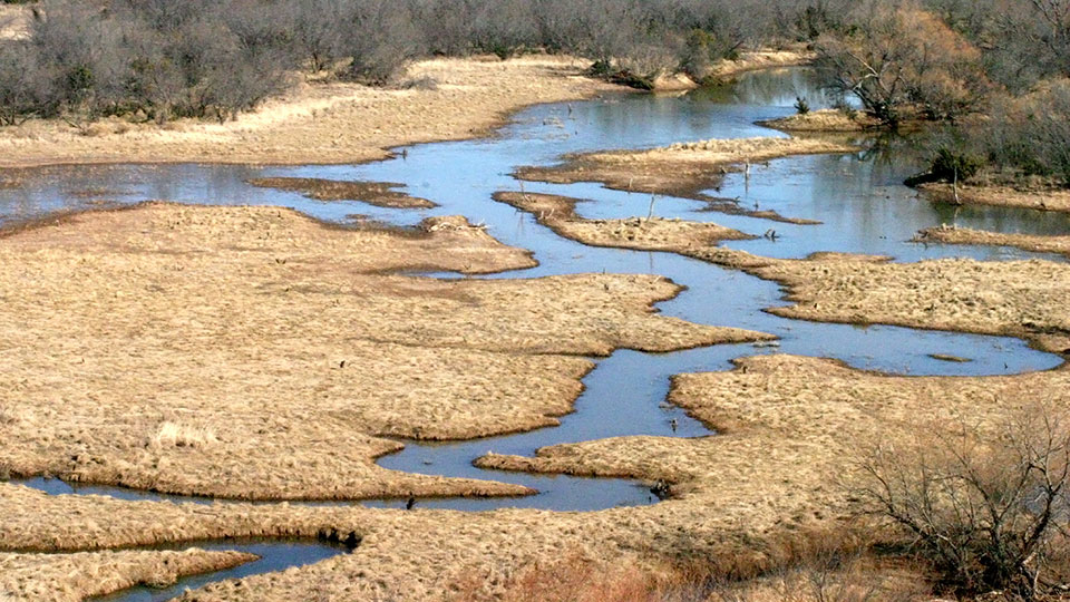 Image described below