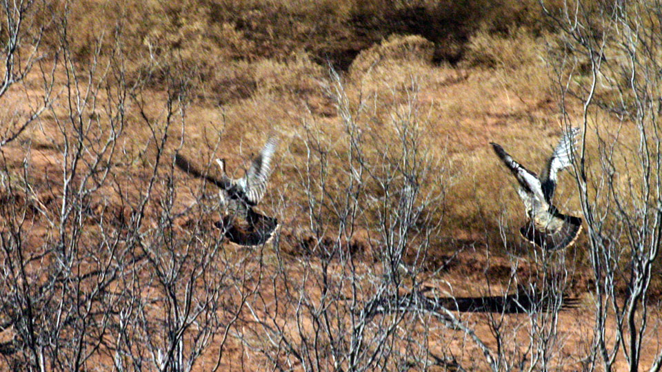 Image described below