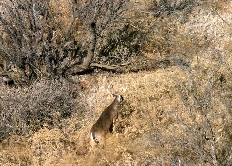 Image described below