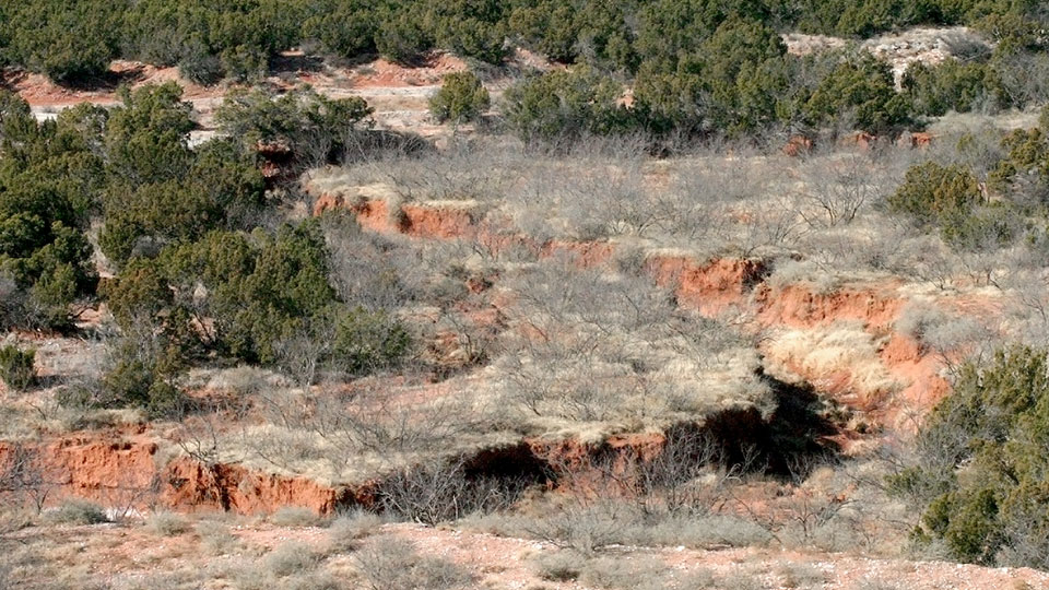 Image described below