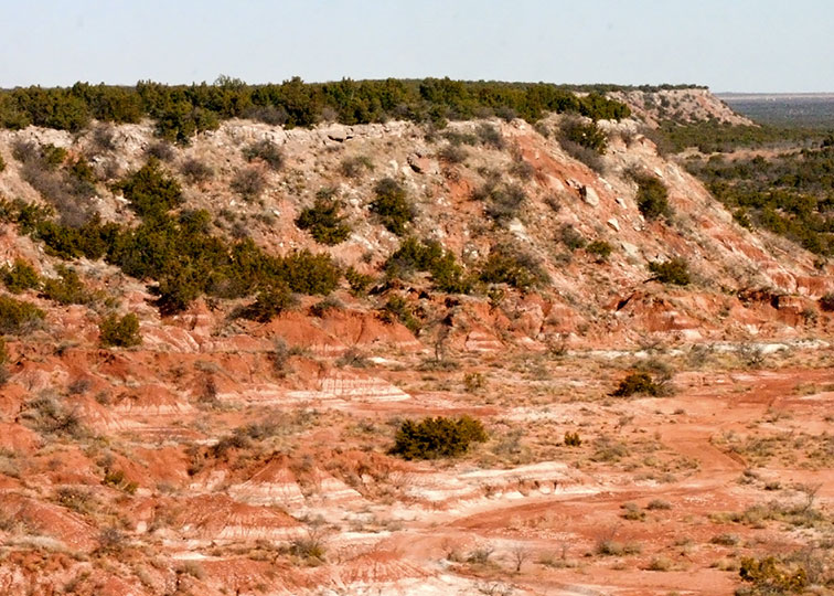 Image described below