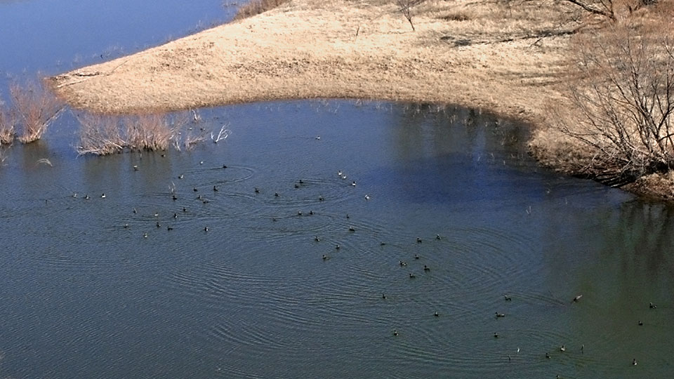 Image described below