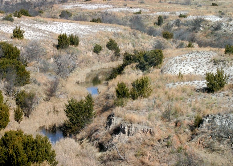 Image described below