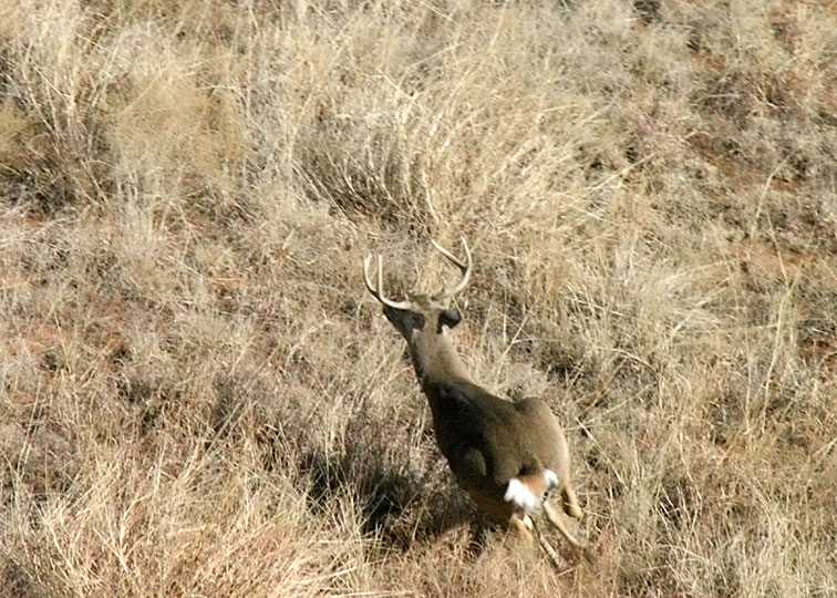 Image described below