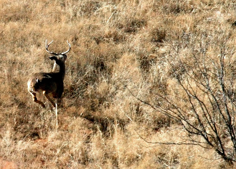 Image described below