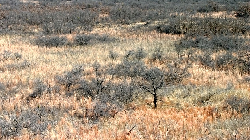 Image described below