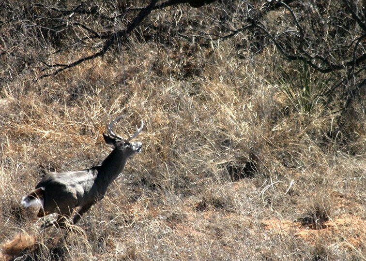 Image described below