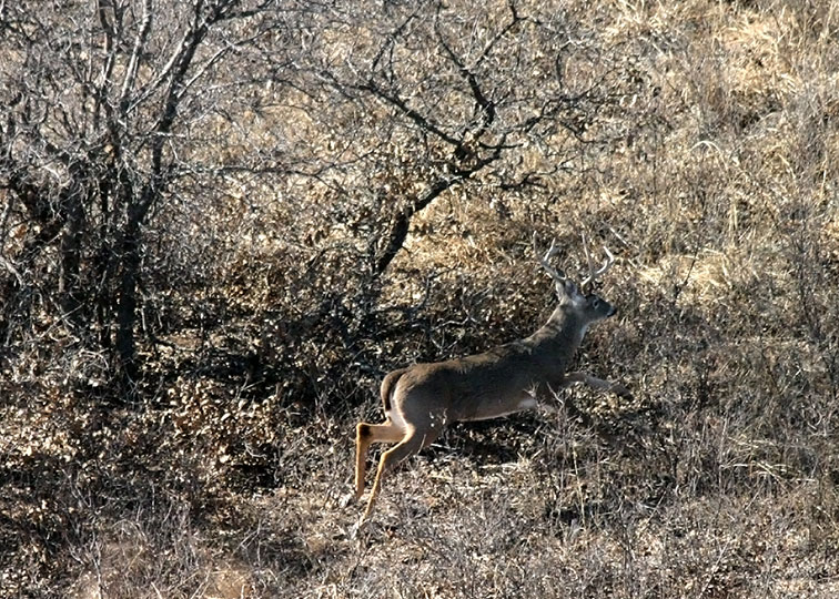 Image described below