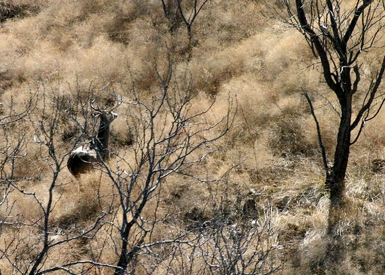 Image described below