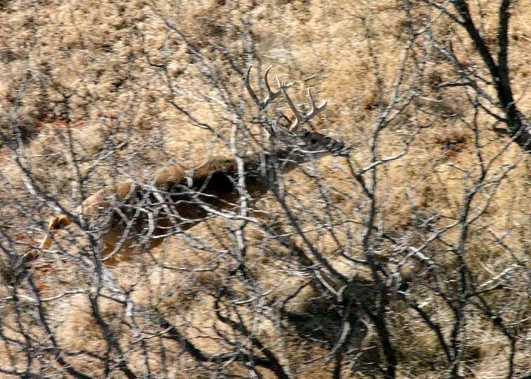 Image described below