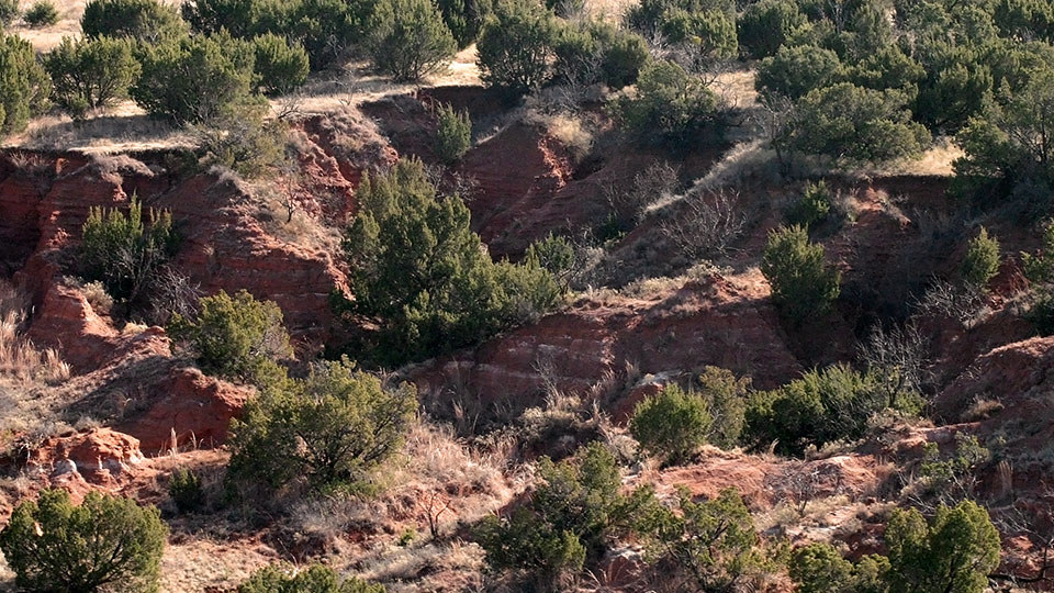 Image described below