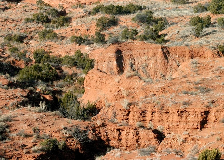 Image described below