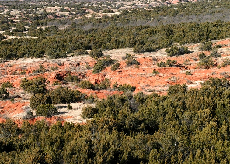 Image described below