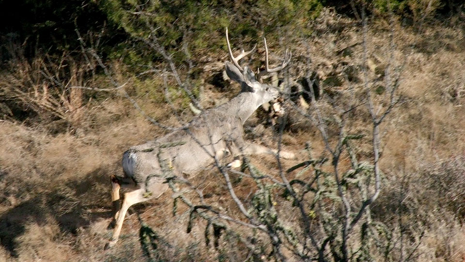 Image described below