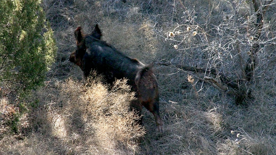 Image described below