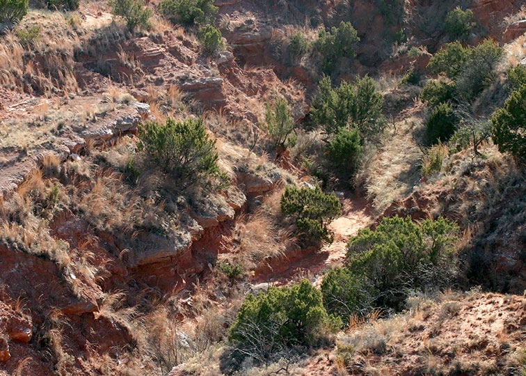 Image described below