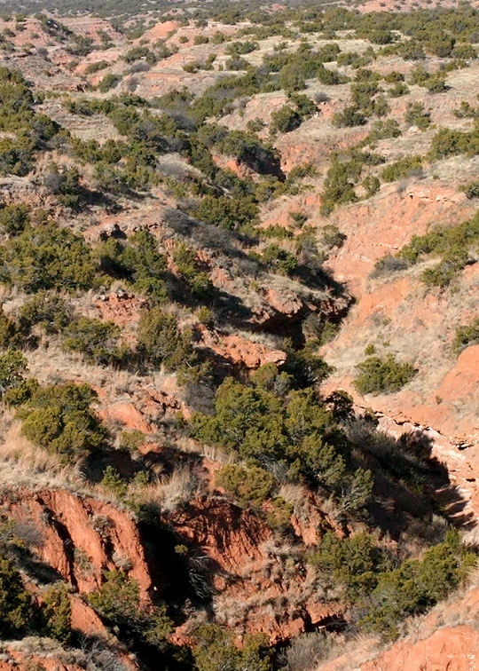 Image described below