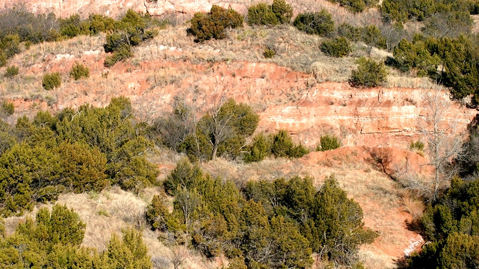 Image described below