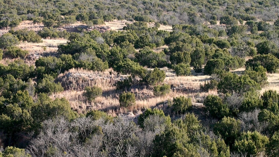 Image described below