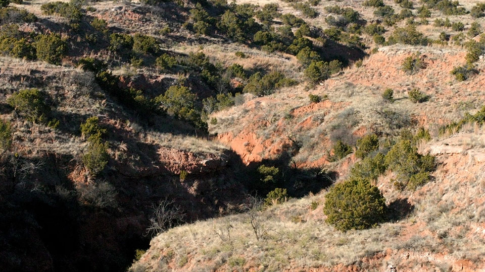 Image described below