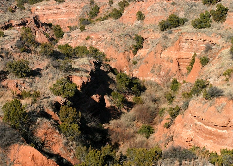 Image described below