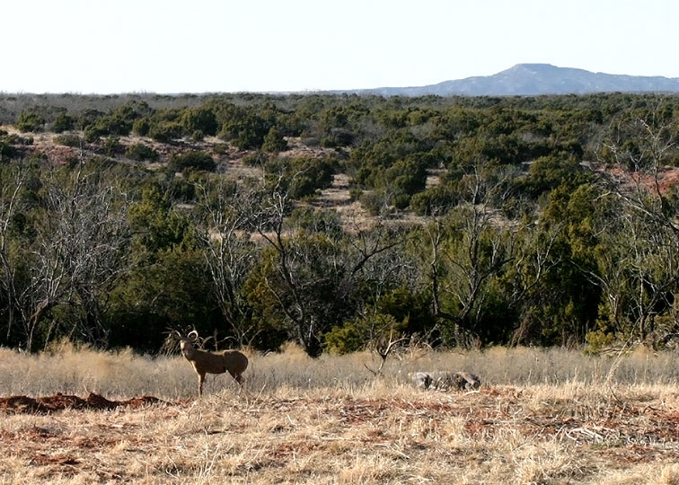 Image described below