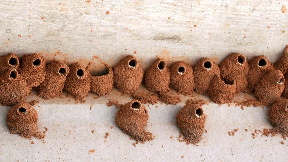 Image described below