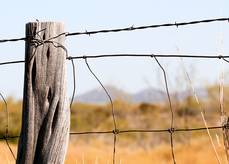 Image described below