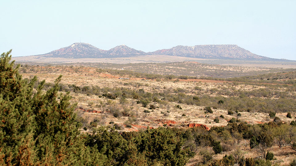 Image described below