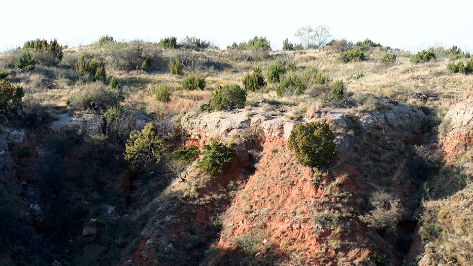 Image described below