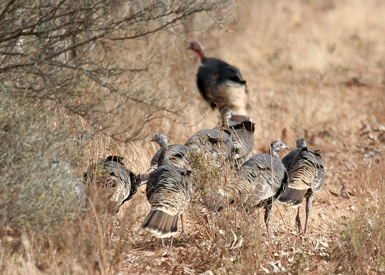 Image described below