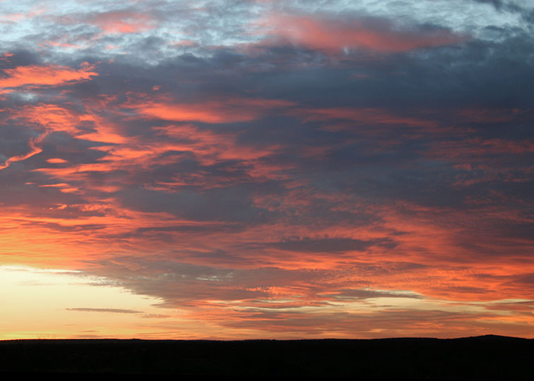 Image described below