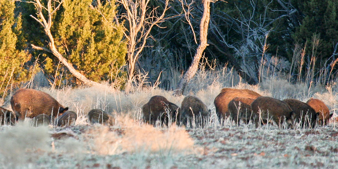 Image described below