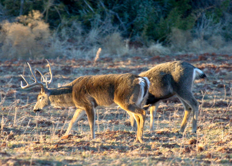 Image described below