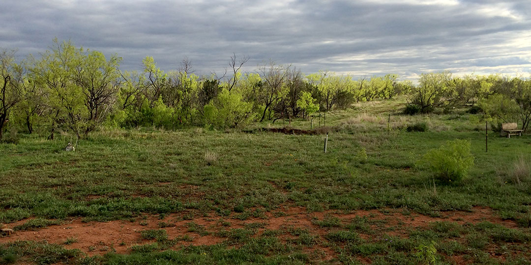 Image described below