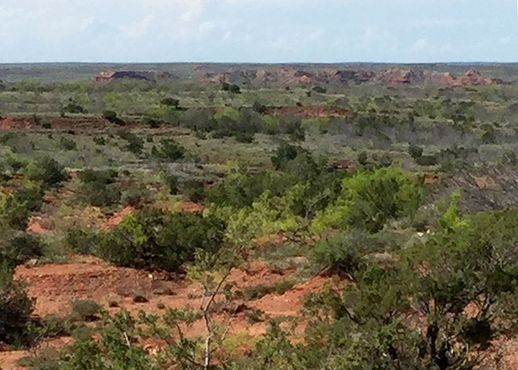 Image described below