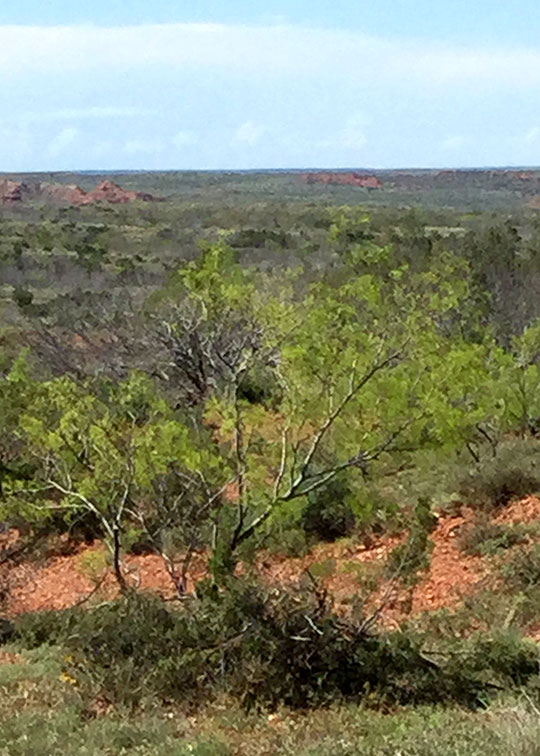 Image described below