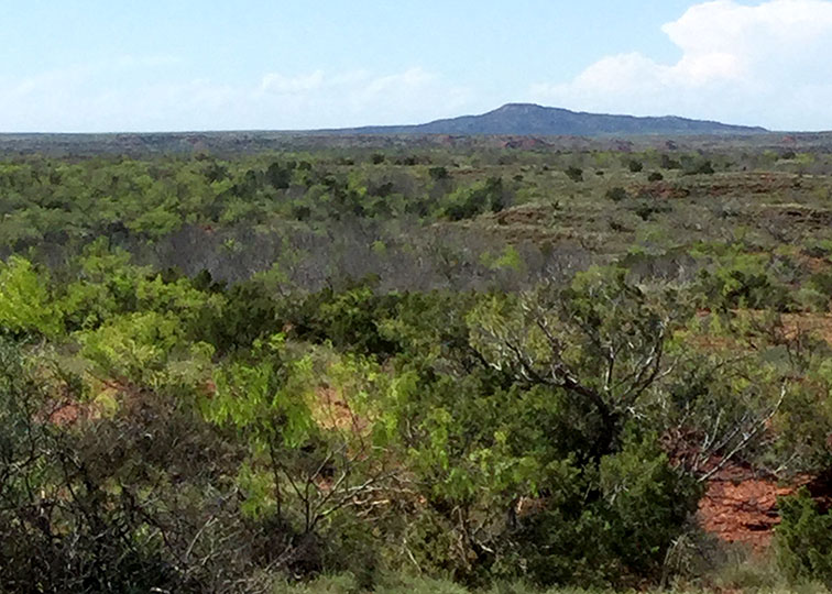 Image described below