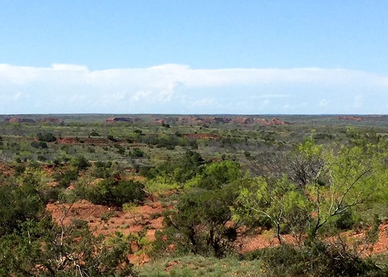 Image described below