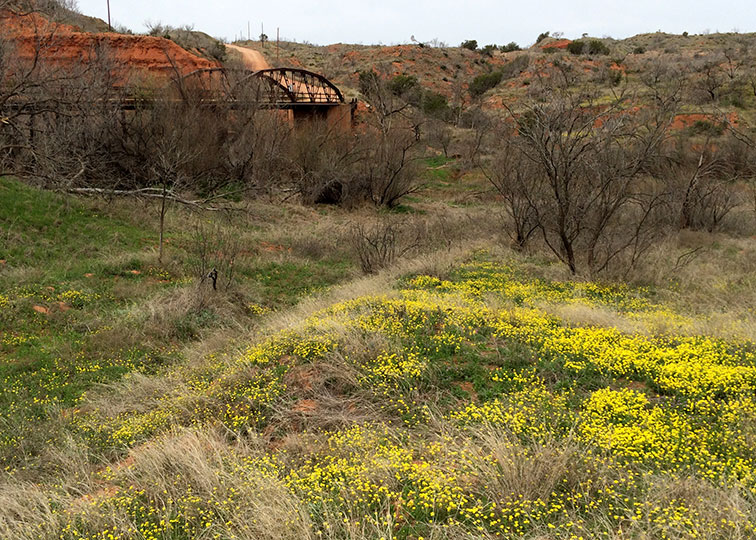 Image described below