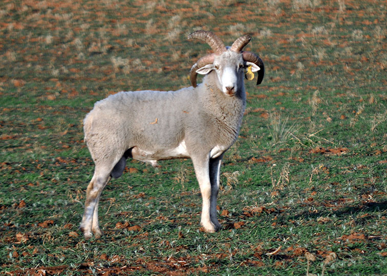 Image described below