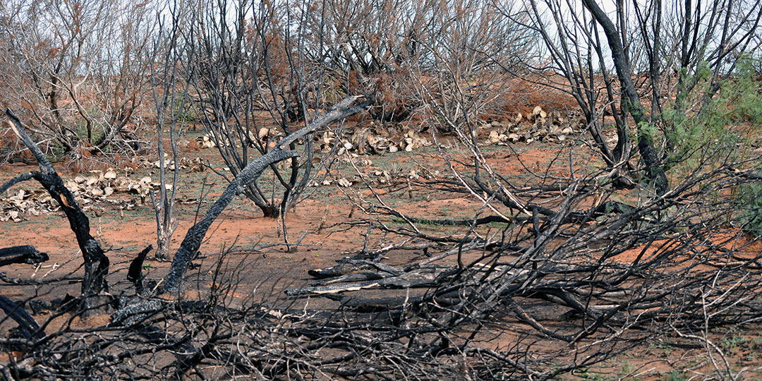 Image described below